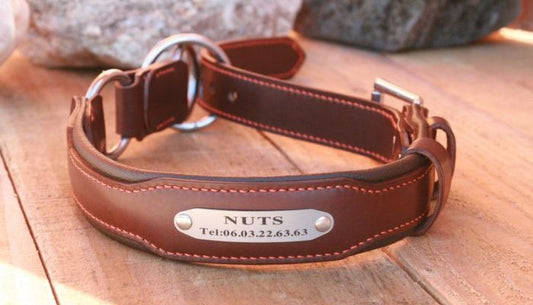 Collier ChienCcuir Personnalisable