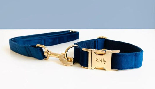 Collier Chien Personnalisé