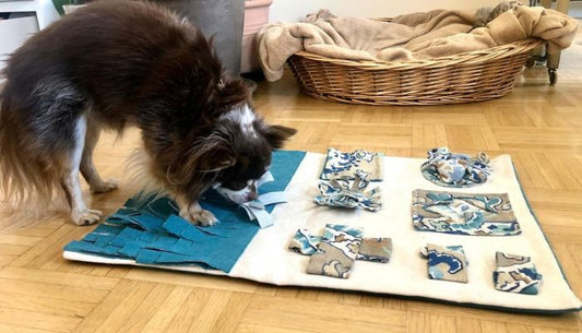Tapis de Fouille