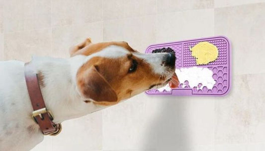 Tapis de Lechage Chien
