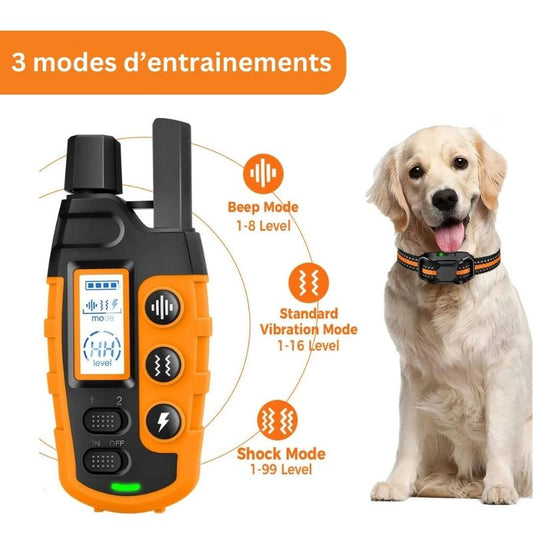 Collier Anti Fugue Sans Fil