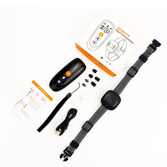 Collier Chien Anti Fugue Sans Fil