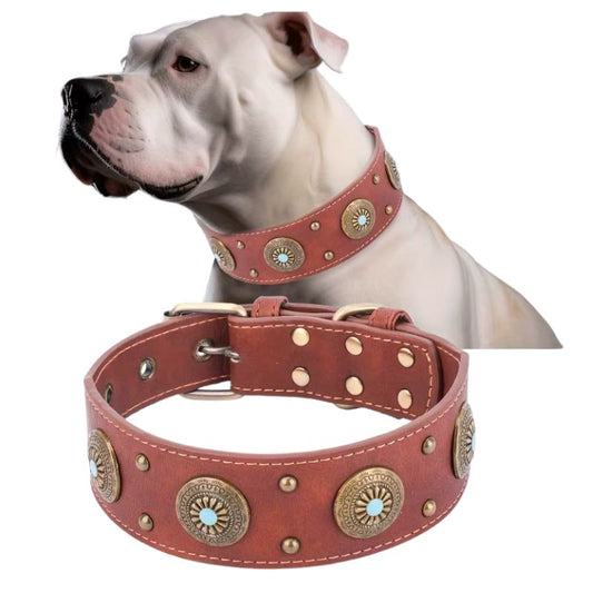Collier Cuir Chien Marron