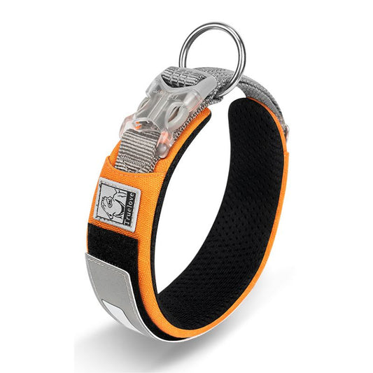 Collier Chien Orange