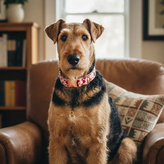 Collier Chien Personnalisé Coeurs