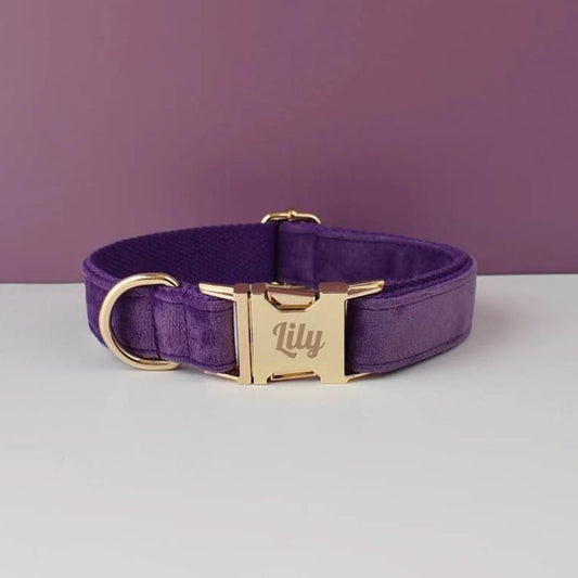 Collier Chien Personnalisé Violet