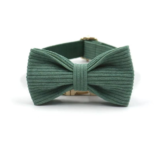 Collier Chien Personnalisé