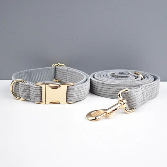 Collier Chien Personnalisé Gris