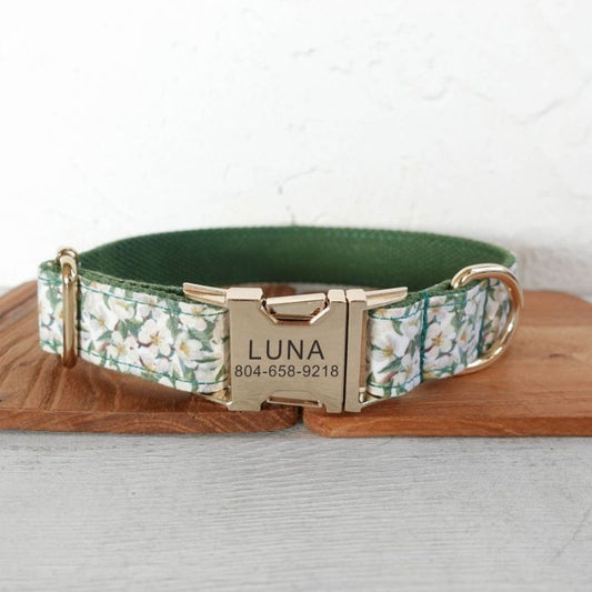 Collier Chien Personnalisé