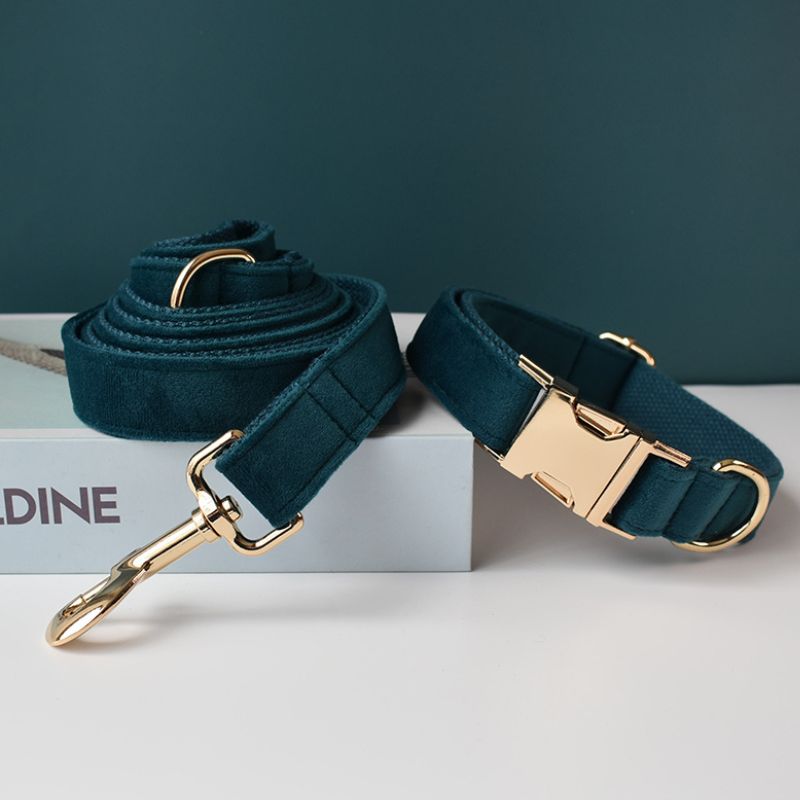 Collier Chien Personnalisé