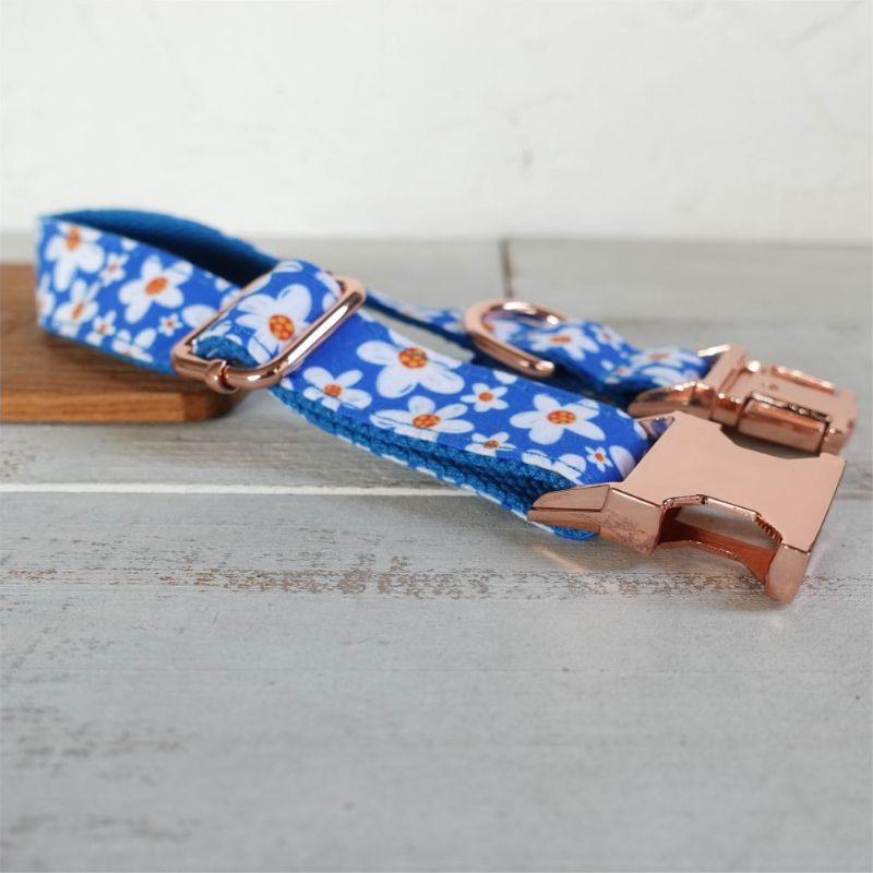 Collier pour Chien Personnalisé