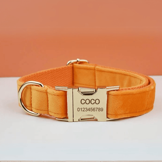 Collier Chien Personsalisé Orange