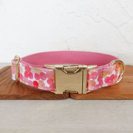 Collier Chien Personnalisé