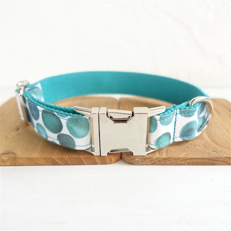 Collier Chien Personnalisé