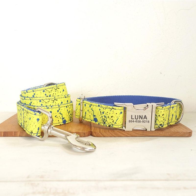 Collier Chien