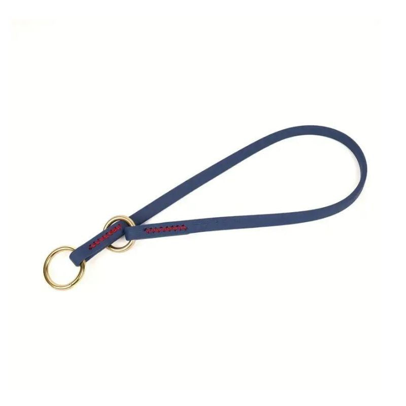 Collier Etrangleur Chien