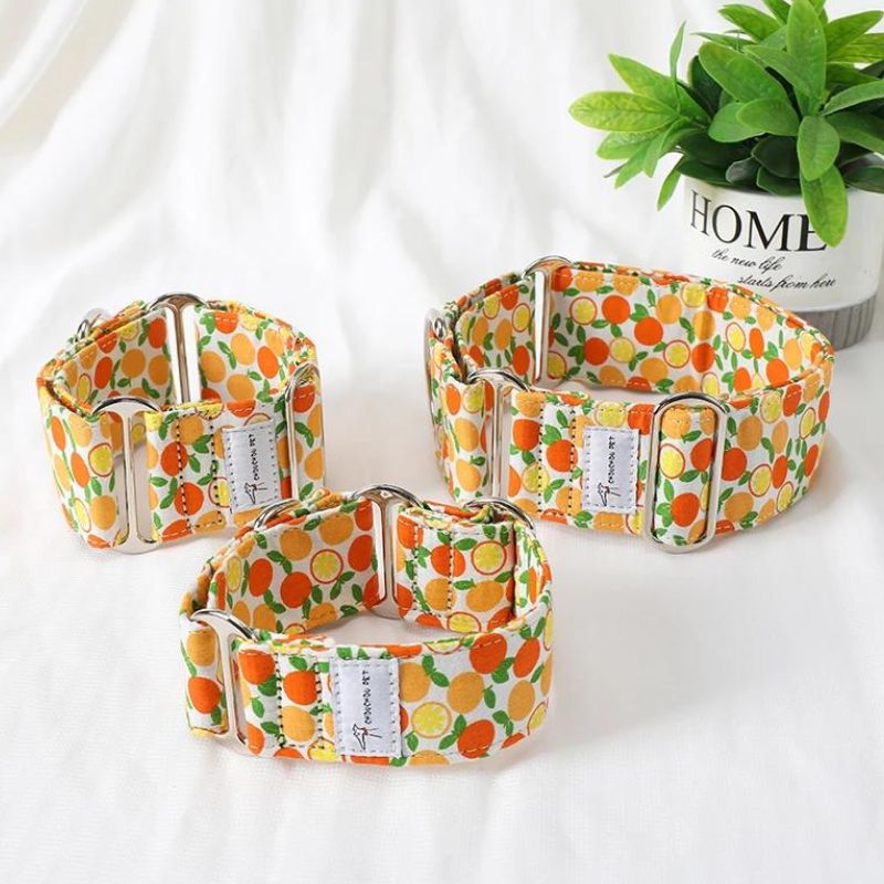 Collier pour Chien Large