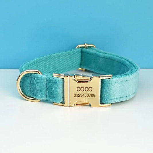 Collier pour Chien Personnalisé Turquoise