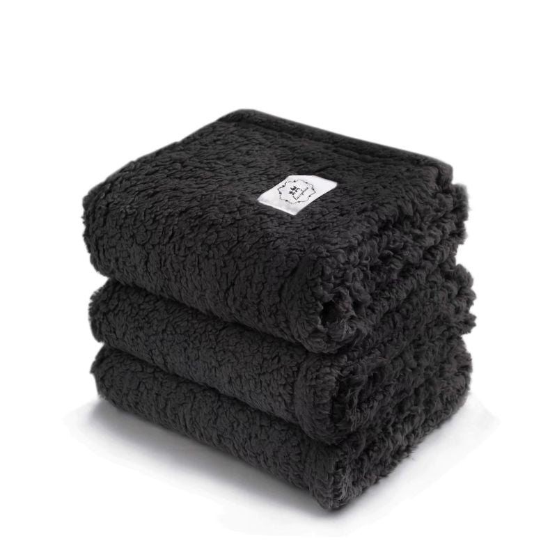 Couverture pour Chien Noir