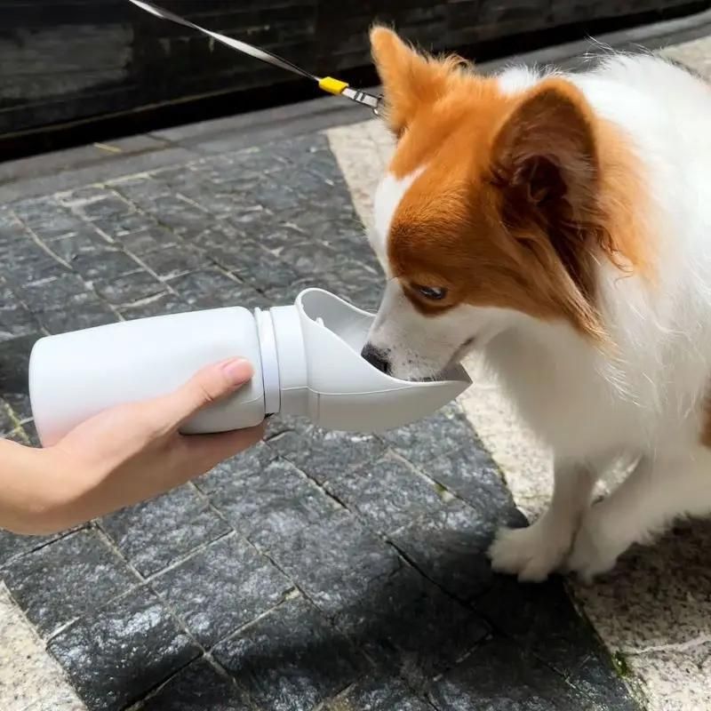 Gourde pour Chien Silicone