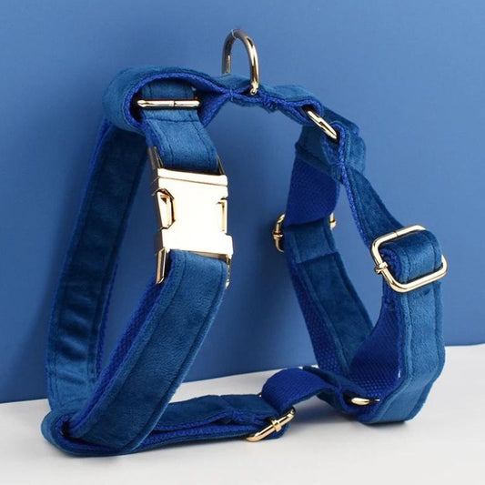 Harnais Chien Bleu