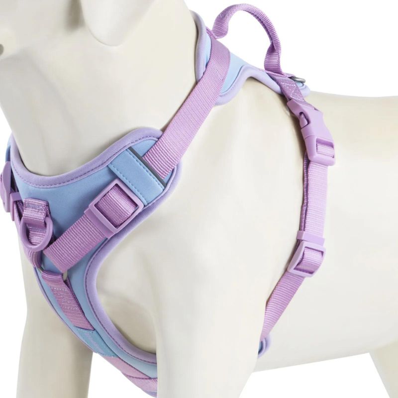 Harnais Chien Anti Traction