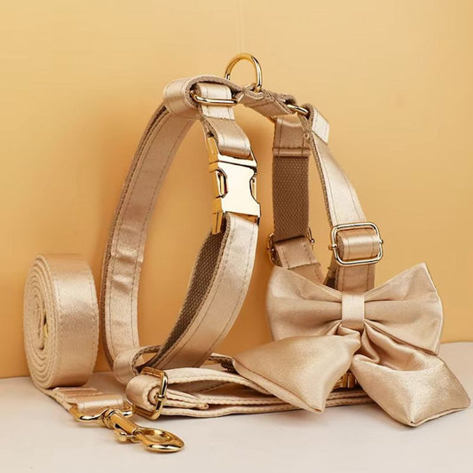 Harnais Chien Personnalise Or