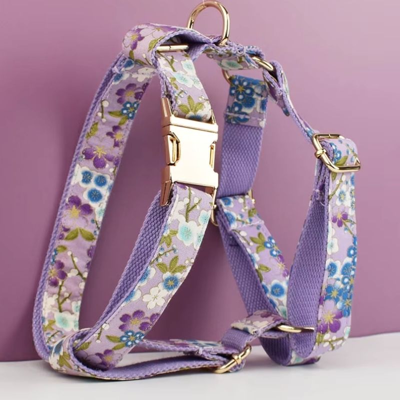 Harnais Chien Personnalisable