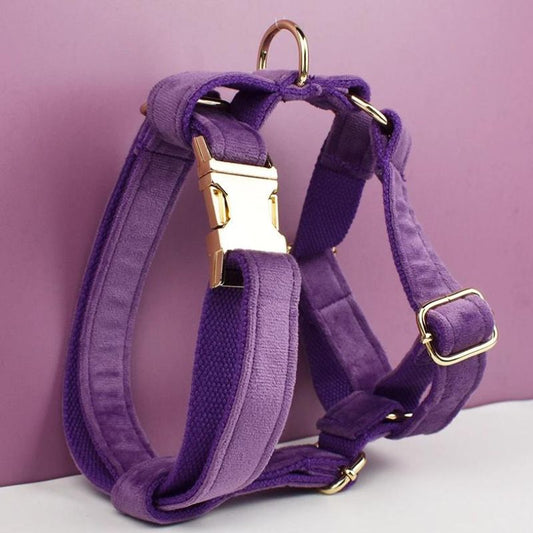 Harnais Chien Violet