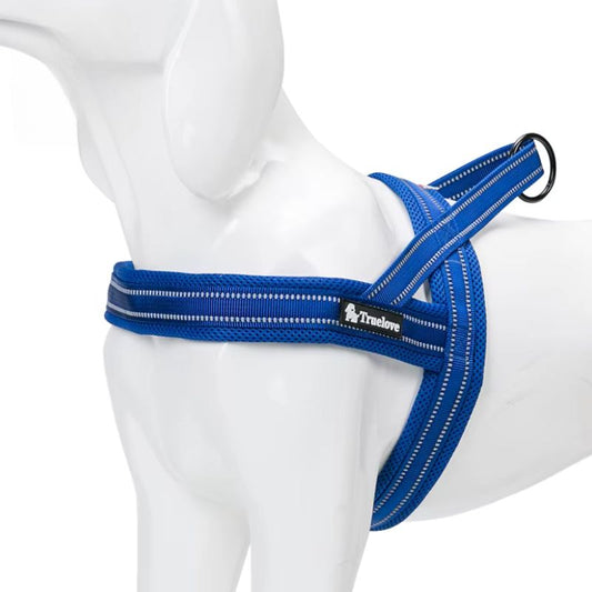 Harnais True Love Marine