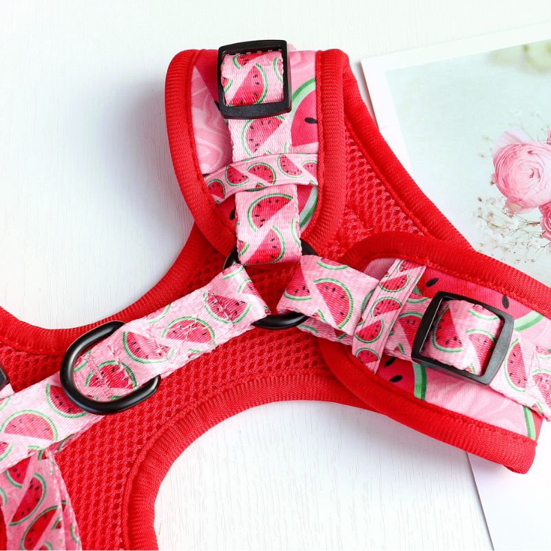 Harnais pour Chien