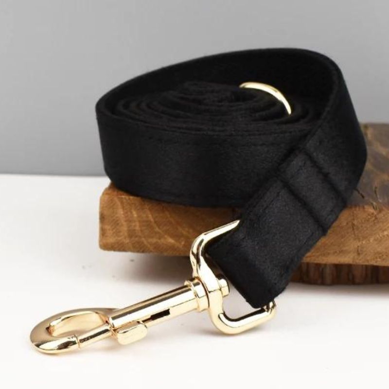 Laisse pour Chien Dark