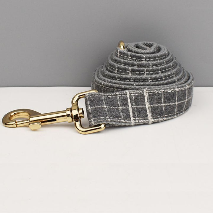 Laisse pour Chien Nylon