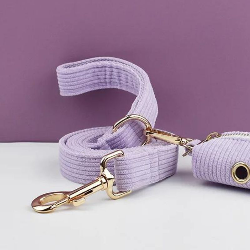 Laisse pour Chien Lilas