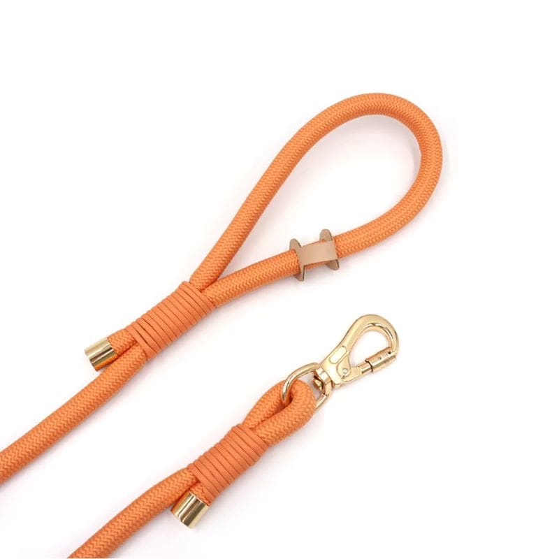 Laisse pour Chien Tressé