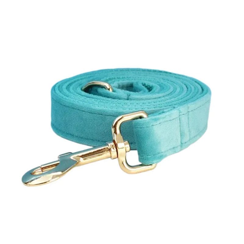 Laisse pour Chien Turquoise