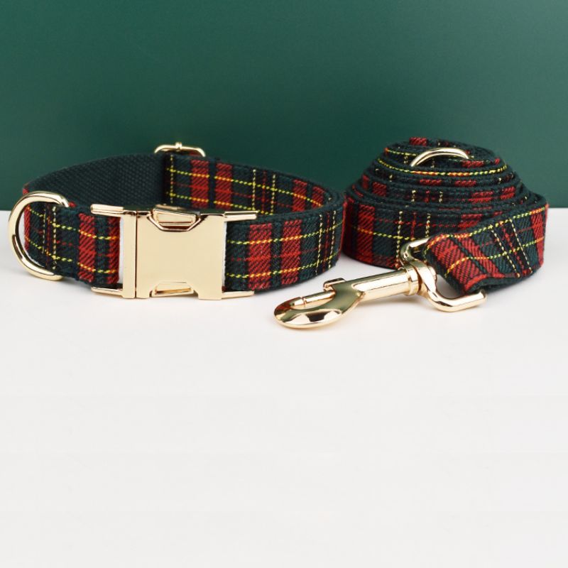 Laisse pour Chien English