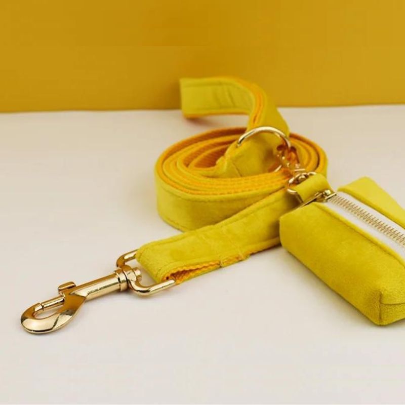 Laisse pour Chien Yellow