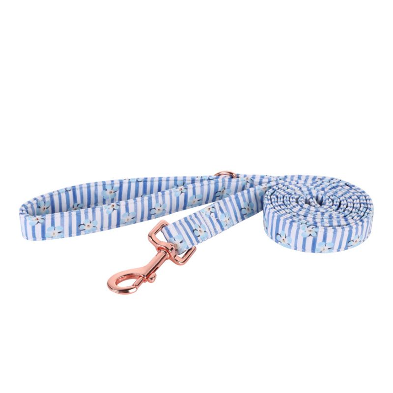 Laisse pour Chien