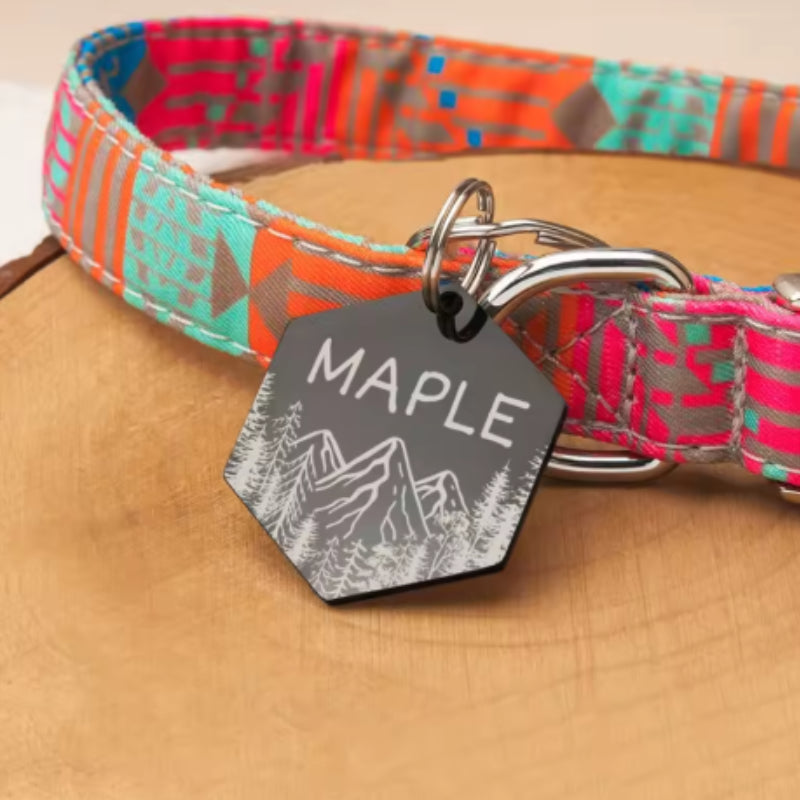 Médaille Chien Montagnes Noir