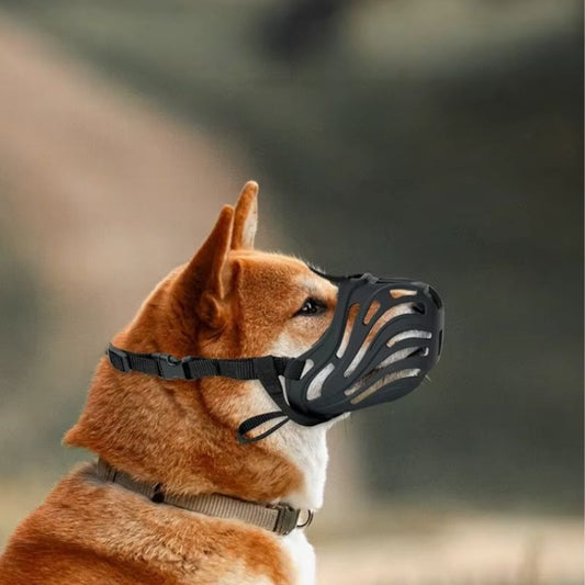 Museliere pour Chien Noir
