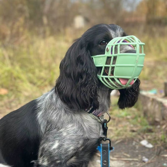 Museliere pour Chien