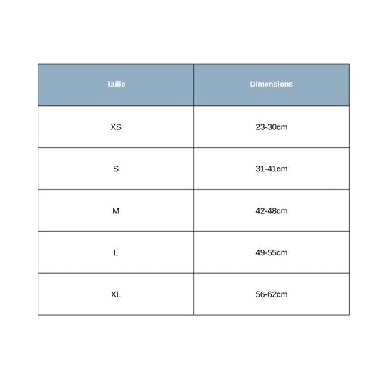 Collier Chien Tailles