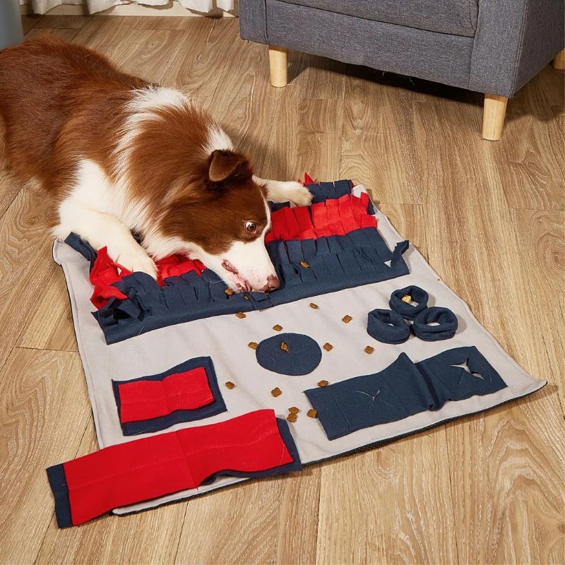 Tapis de Fouille Chien