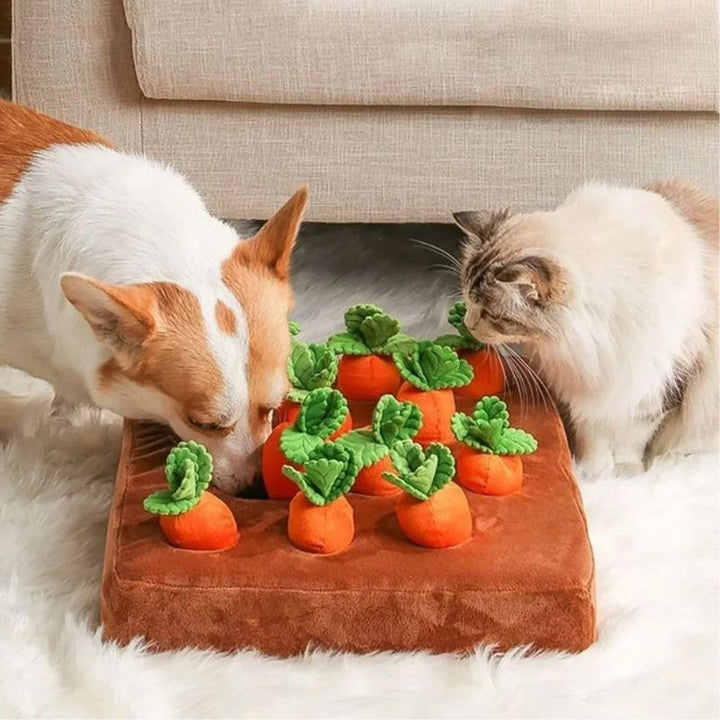 Tapis de Fouille Chien