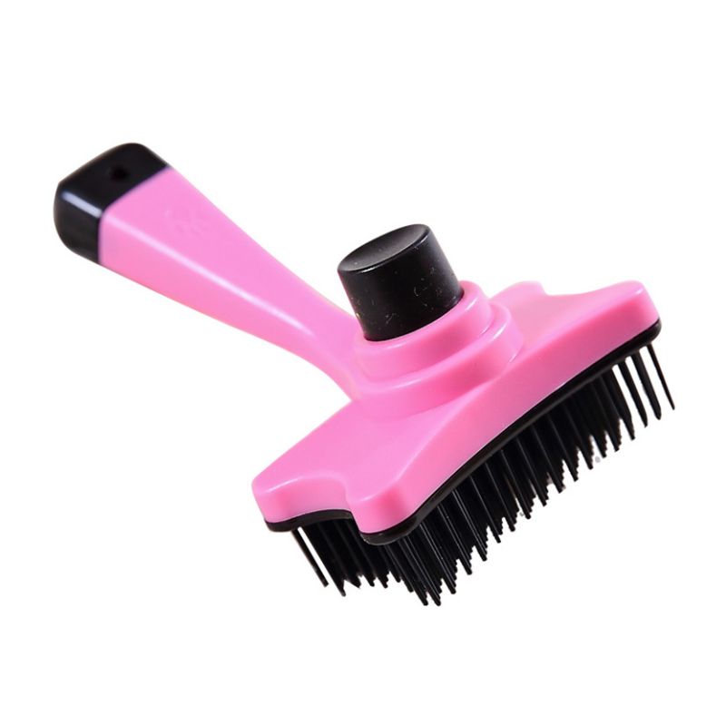 Brosse Chien