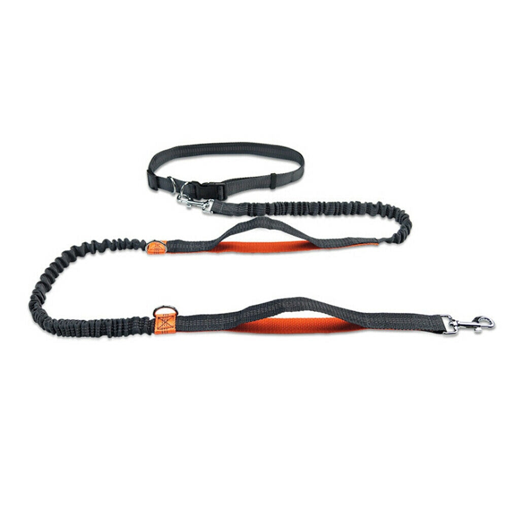 Ceinture Cani Rando Husky