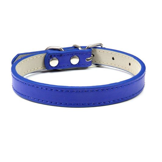 Collier Cuir Chien