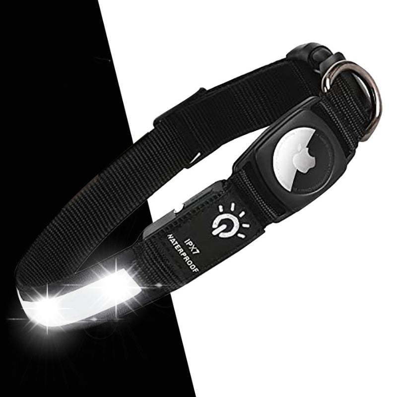 Collier Airtag Chien