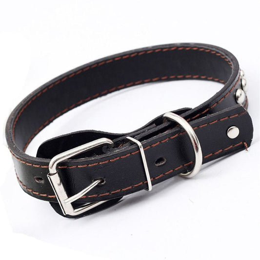 Collier Chien Cuir